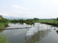 Photo:meiyin