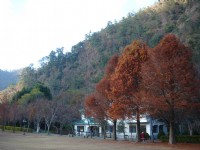 奧萬大國家森林遊樂區