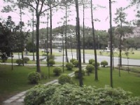 翠绿校园<br/> 摄影：郭香妙