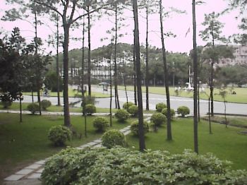 翠绿校园 摄影：郭香妙