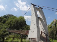 百蝠桥<br/> 摄影：照片來源 | 臺中觀光旅遊網