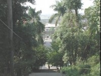 园中一景<br/> 摄影：張弘穎
