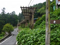 Photo:三個井