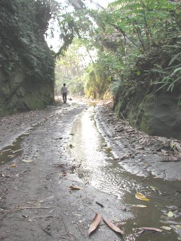 谷中水流 摄影：張弘穎