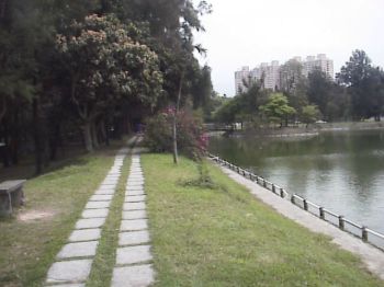 湖畔道 摄影：郭香妙