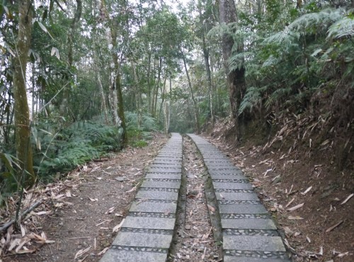 青龍山步道-青龍山步道