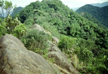 Huang Di Dian-