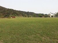 Photo:Eva隨手拍