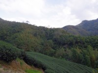 石壁风景区<br/> 摄影：Eva隨手拍