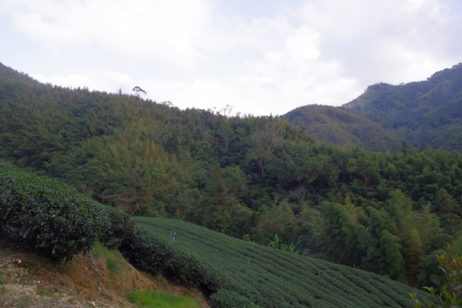 石壁风景区 摄影：Eva隨手拍