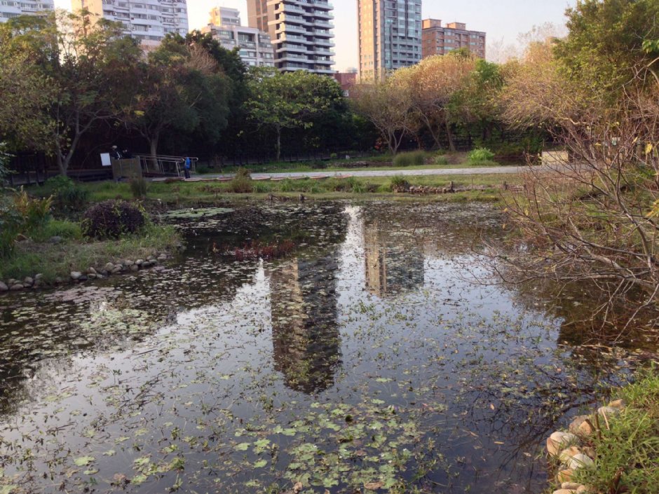 Photo:陳皮梅