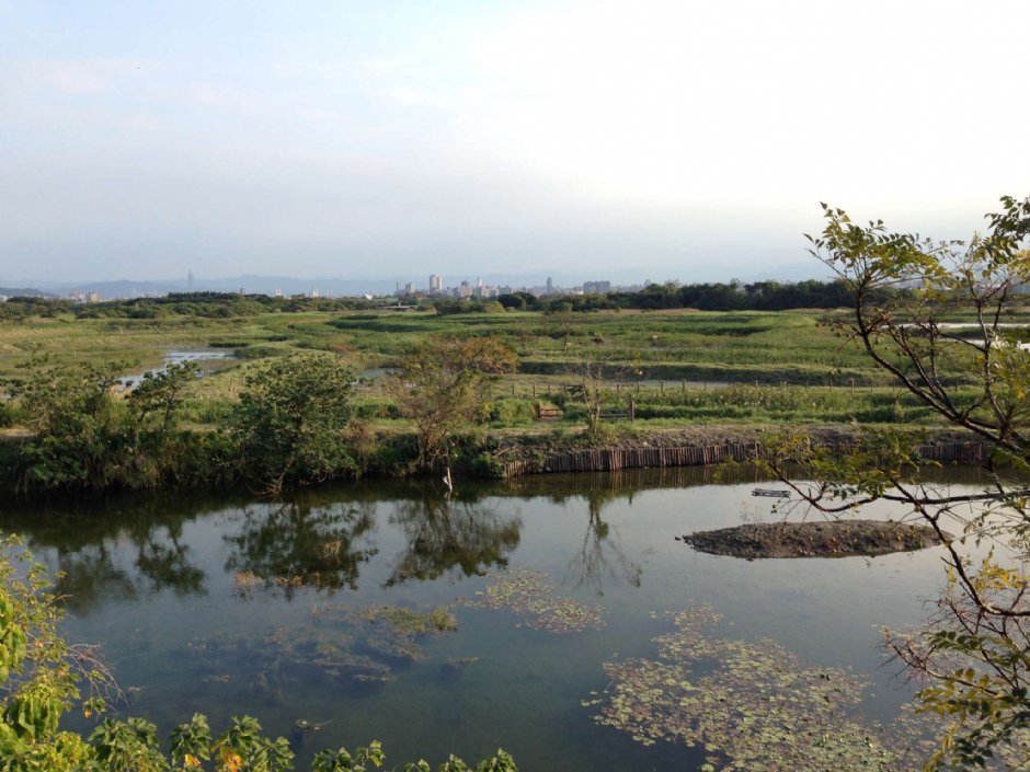 Photo:陳皮梅