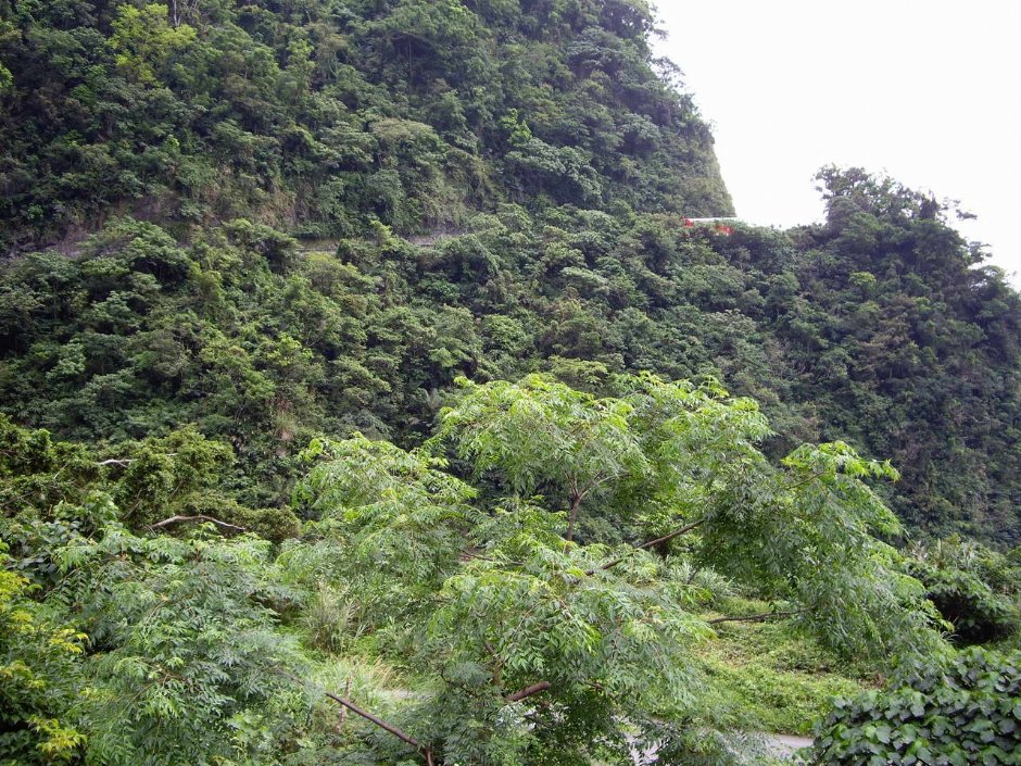 清水休息区的山林景色 摄影：老山羊部落格