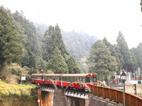 阿里山國家森林遊樂區
