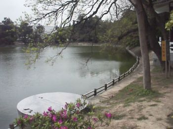 湖畔 摄影：郭香妙