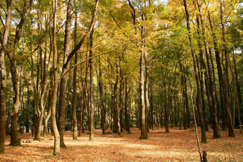 Photo:老山羊部落格