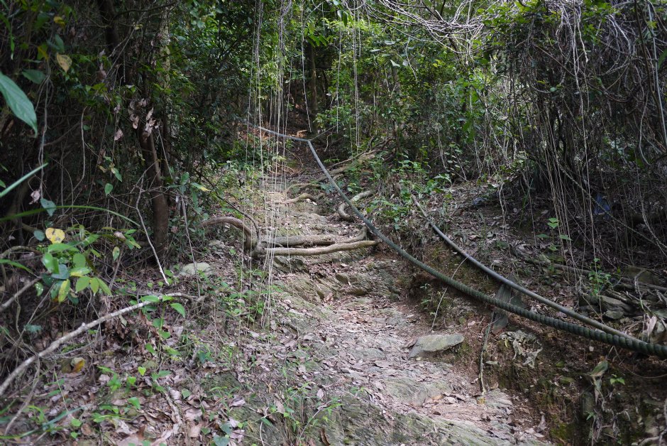 尾寮山步道 摄影：旅遊王攝影組