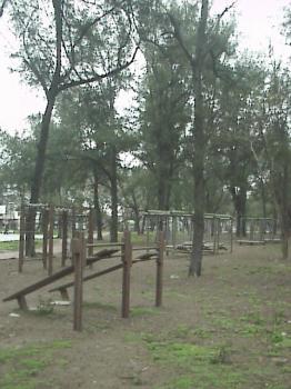 体能锻炼区 摄影：郭香妙