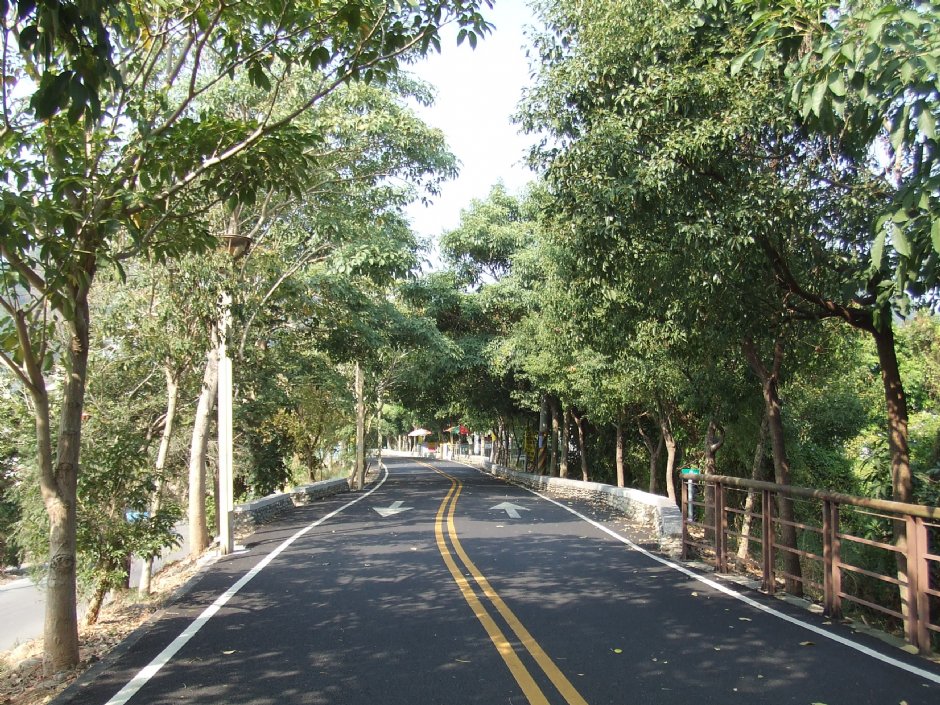 后丰铁马道 摄影：Lu
