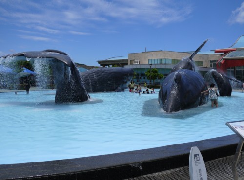 National Museum of Marine Biology and Aquarium (NMMBA)-