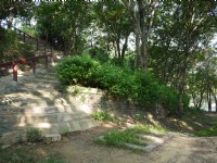 Photo:三井