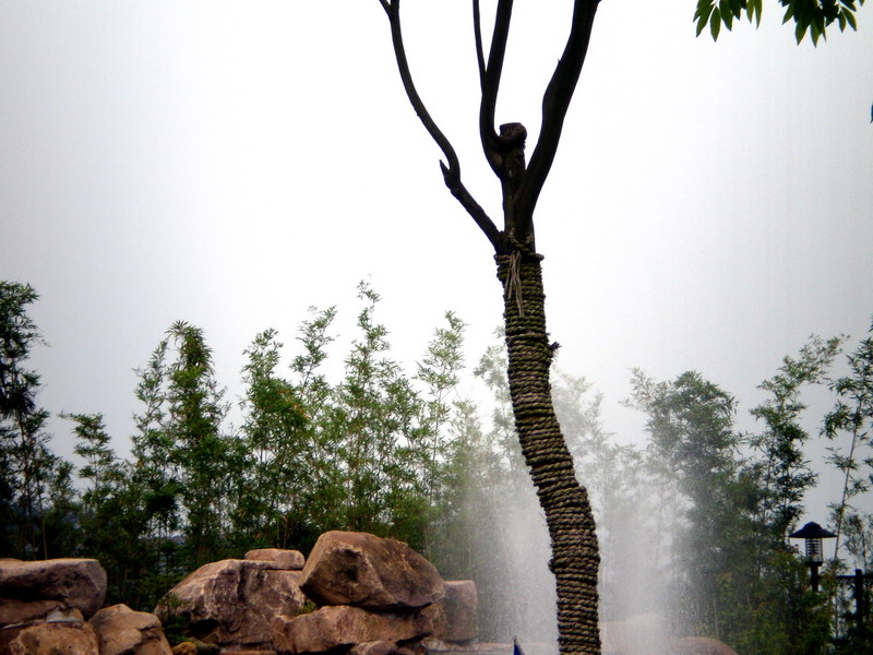Photo:顧穎