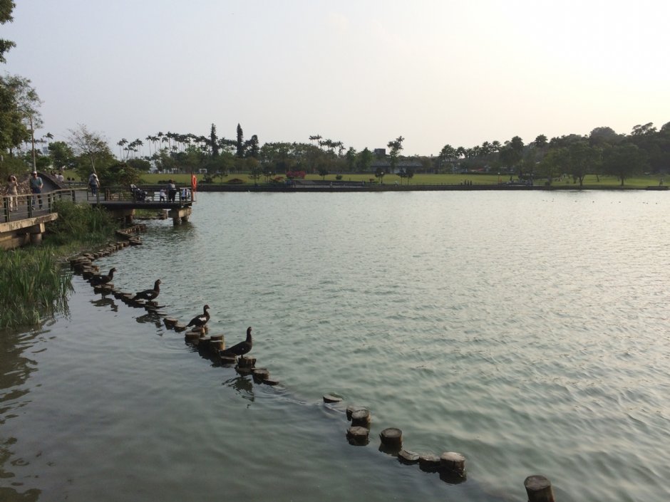 Photo:Eva隨手拍