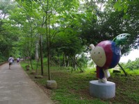 永丰六分桐花步道<br/> 摄影：Eva隨手拍