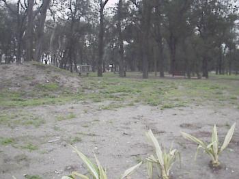 园区一景 摄影：郭香妙