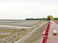 香山湿地赏<br/> 摄影：Eva隨手拍