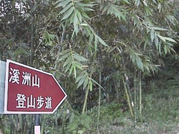 溪洲山登山步道-溪洲山登山步道