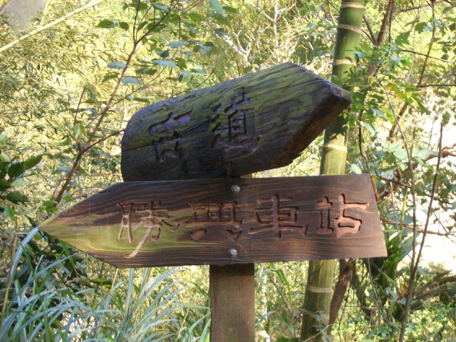林中指标 摄影：鄭瑄頤