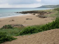 Fongchueisha (Windblown Sand)