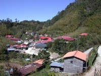 Smangus