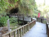 头汴坑蝙蝠洞<br/> 摄影：照片來源 | 臺中觀光旅遊網