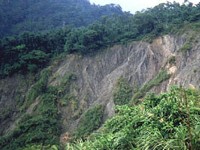 野鸽谷<br/> 摄影：南投縣政府