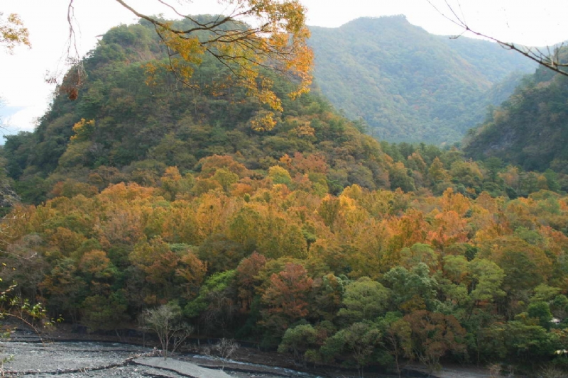 Photo:老山羊部落格