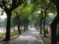 虎尾糖厂外道路<br/> 摄影：Eva隨手拍