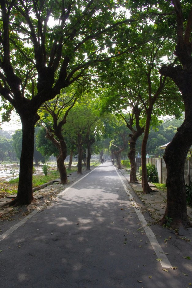 虎尾糖厂外道路 摄影：Eva隨手拍