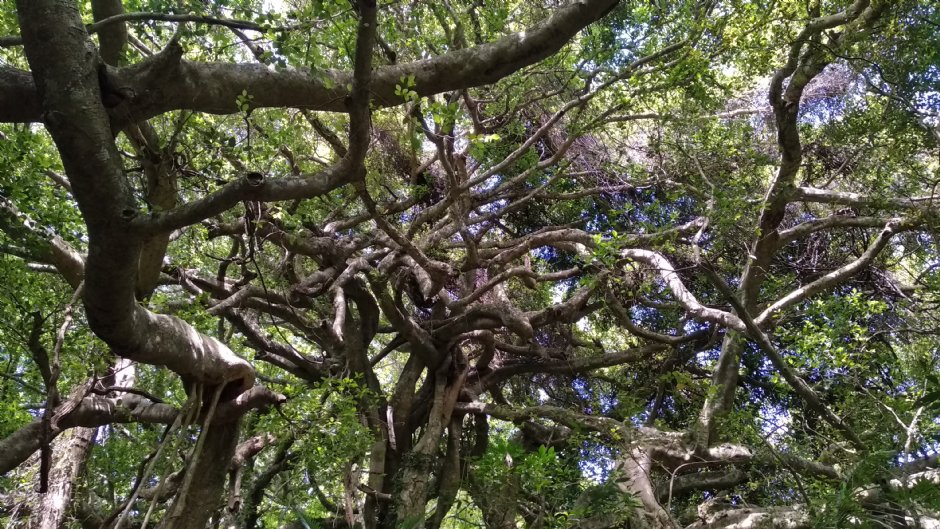 莺山森林文化博物馆 摄影：Lu
