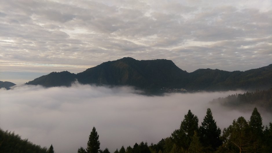 Photo:晏伶