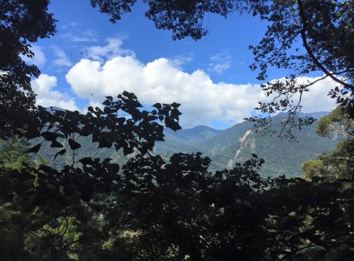 八仙山國家森林遊樂區