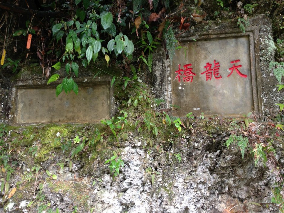 天龙吊桥 摄影：林錦萍