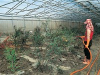 草药种植区<br/> 摄影：雲林縣政府