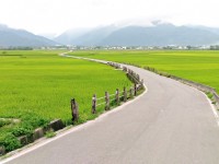 天堂路<br/> 摄影：Eva隨手拍