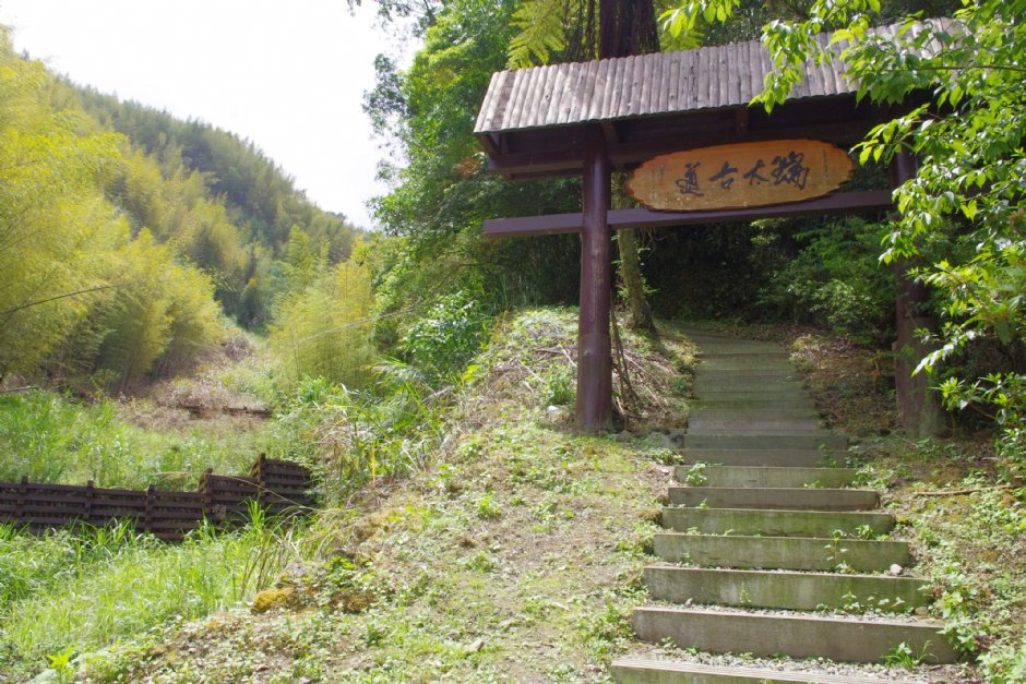 Photo:Eva隨手拍