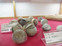 昔日球队所使用之球具<br/> 摄影：Eva隨手拍