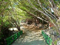 Photo:老山羊部落格