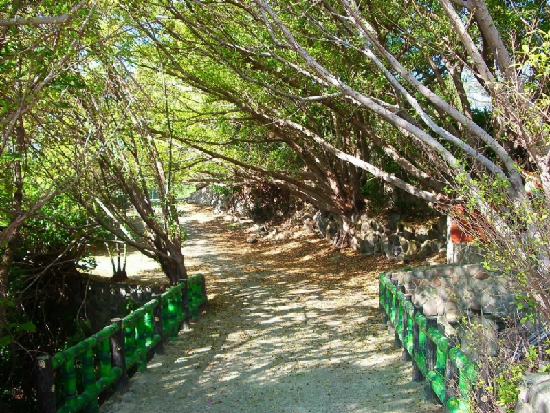 Photo:老山羊部落格