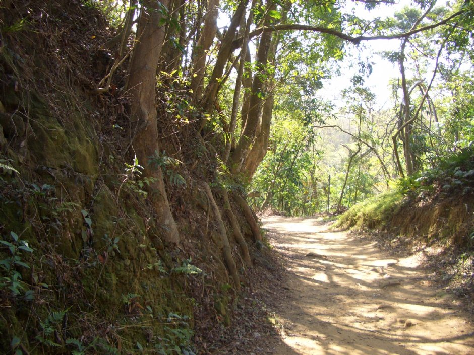 古道一景 摄影：鄭瑄頤